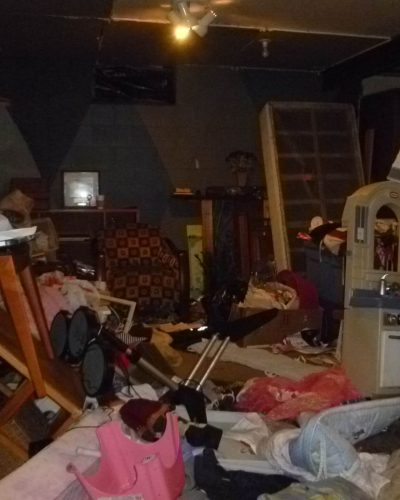 professional junk removal service in Michigan